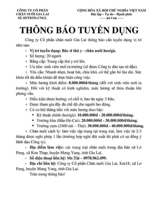  Bầu Đức chiêu mộ bác sĩ thú y chăm đàn gà – heo, trả lương hậu hĩnh đến 40 triệu/tháng  - Ảnh 1.