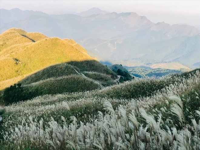 Khám phá Bình Liêu - “Sapa thu nhỏ” với loạt địa điểm hoang sơ đẹp choáng ngợp giữa lòng Quảng Ninh - Ảnh 2.