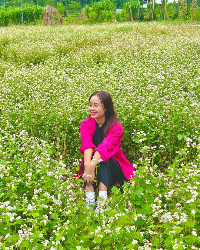 Không chỉ ở Hà Giang, 3 địa điểm cũng có hoa tam giác mạch nở rực rỡ đẹp đến nao lòng - Ảnh 5.