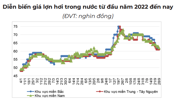  Quả chuối, con heo có thực sự đang giúp bầu Đức cứu HAGL thoát lỗ?  - Ảnh 4.