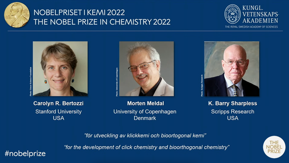 Nobel Hóa học 2022 được trao cho 3 nhà khoa học gắn kết các phân tử lại với nhau’ - Ảnh 1.