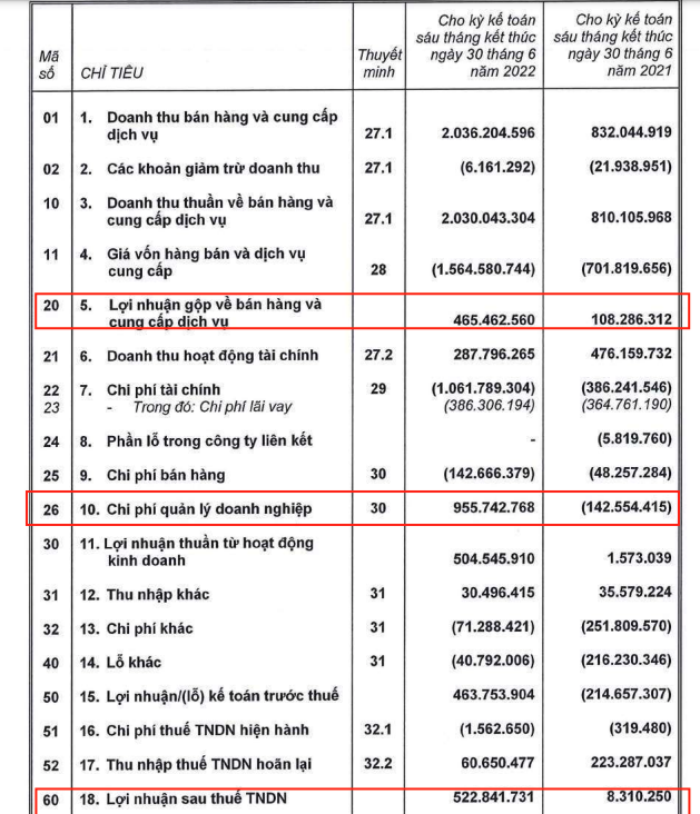  Quả chuối, con heo có thực sự đang giúp bầu Đức cứu HAGL thoát lỗ?  - Ảnh 3.