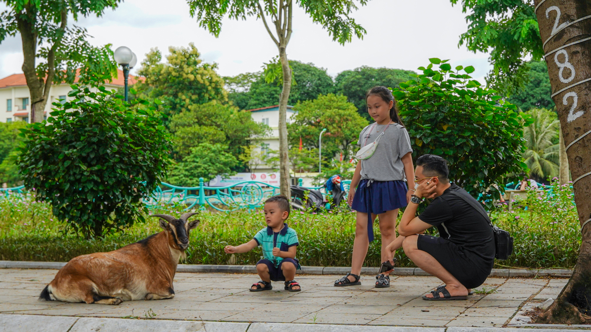 Khám phá hồ rộng bậc nhất và nhiều cung đường sống ảo của Thủ đô - Ảnh 13.