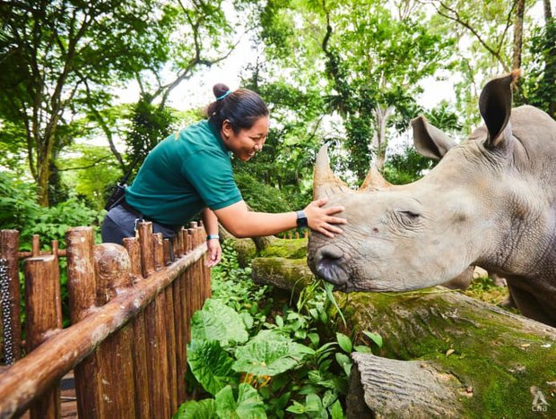 Bước ngoặt làm thay đổi cuộc đời cô gái trẻ: Từ nhà làm phim thành nhân viên chăm sóc các con thú - Ảnh 5.