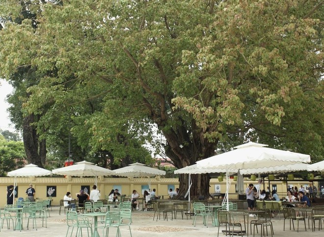 Ôm trọn mùa thu vào lòng tại các quán cà phê tình bể bình ở Hà Nội - Ảnh 9.