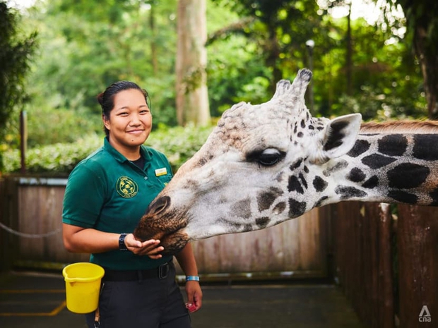 Bước ngoặt làm thay đổi cuộc đời cô gái trẻ: Từ nhà làm phim thành nhân viên chăm sóc các con thú - Ảnh 1.