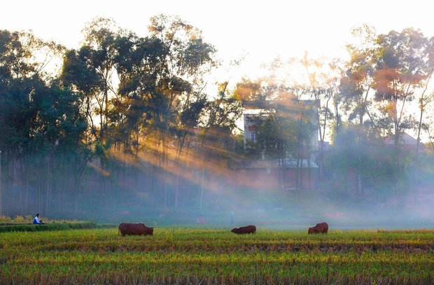 Lạc vào không gian xưa với những ngôi làng nhuốm màu thời gian trải dài khắp Việt Nam - Ảnh 5.