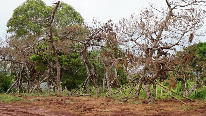 Dự án sân golf gây hậu quả lớn: Nếu giải quyết không đúng, phải ra tòa - Ảnh 1.