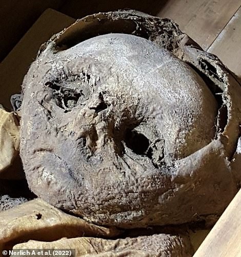 Giải mã bí ẩn xác ướp em bé được chôn cách đây 400 năm - Ảnh 2.