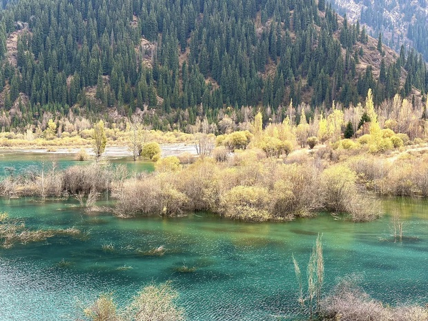 Theo chân du khách Việt ngắm thu vàng trên con đường tơ lụa từ Kazakhstan đến Kyrgyzstan - Ảnh 7.