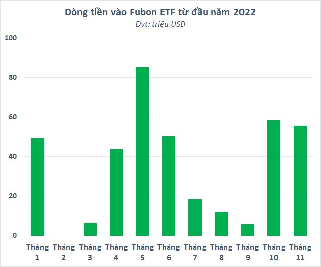  Dòng tiền từ Đài Loan (Trung Quốc) không ngừng chảy vào chứng khoán Việt Nam, Fubon ETF hút ròng hơn 9.000 tỷ đồng từ đầu năm  - Ảnh 1.