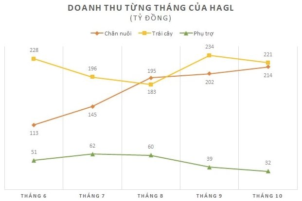Trồng chuối để xuất khẩu hay để nuôi heo khi 2/3 sản lượng chuối dùng cho heo ăn: Hoàng Anh Gia Lai nói gì? - Ảnh 3. Trồng chuối để xuất khẩu hay để nuôi heo khi 2/3 sản lượng chuối dùng cho heo ăn: Hoàng Anh Gia Lai nói gì? - Ảnh 3.