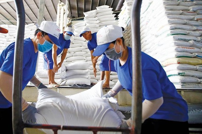 Giá gạo Việt Nam xuất khẩu cao nhất thế giới - Ảnh 1.