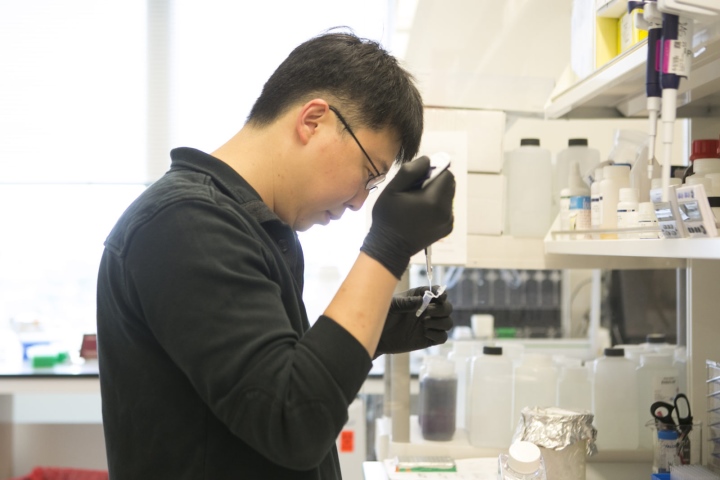 Đột phá trong chữa trị ung thư bằng công nghệ chỉnh sửa gene - Ảnh 1.