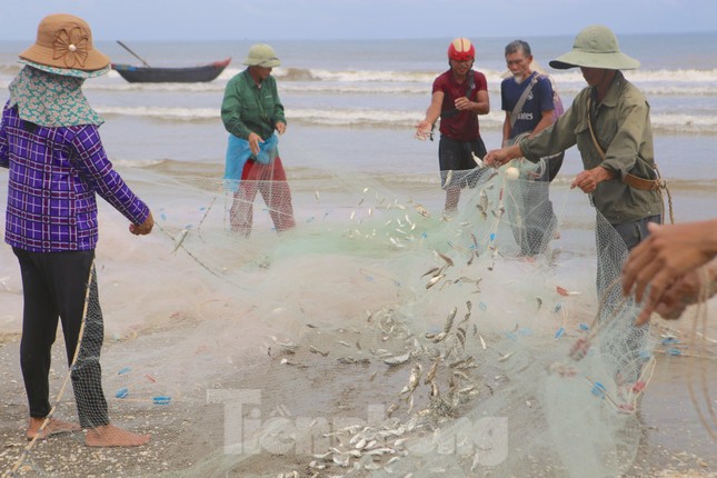  Quăng mẻ lưới trúng đậm hàng tấn cá, ngư dân thu trên chục triệu đồng  - Ảnh 8.