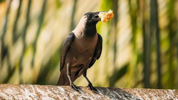 5 câu chuyện về cách người giàu mượn lực để kiếm tiền: Làm ít được nhiều, tận dụng sức người sức của để đạt được mọi mục tiêu - Ảnh 3.