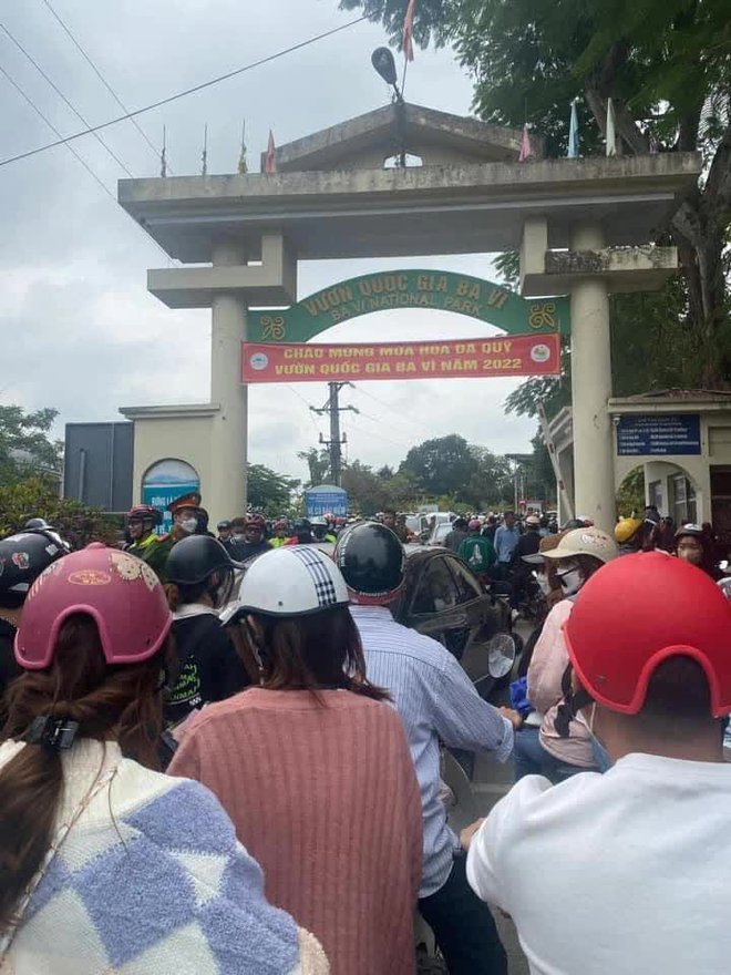  Cảnh tượng đông nghịt trên đường đi Ba Vì “săn” hoa dã quỳ ngày cuối tuần - Ảnh 5.