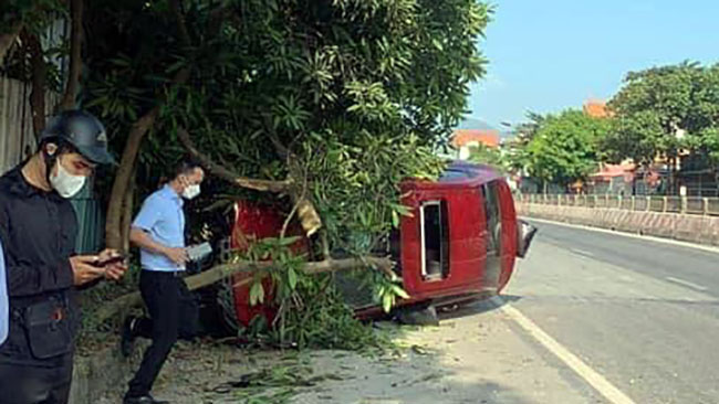 Đằng sau những bức ảnh TNGT: Xử lý không chuẩn:, Hyundai Accent hạ gục cả hàng cây - Ảnh 1.