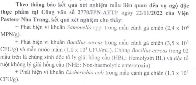 Vụ học sinh ngộ độc tập thể tại Nha Trang: Phát hiện nhiều loại vi khuẩn trong cánh gà chiên - Ảnh 3.