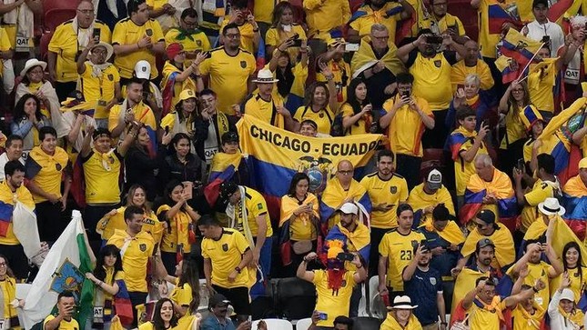 FIFA điều tra CĐV Ecuador vì cổ vũ thiếu văn hóa - Ảnh 2.