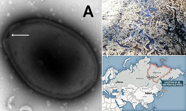 Hồi sinh virus cổ đại 48.500 năm tuổi - Ảnh 1.