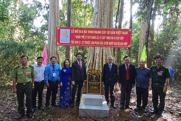 Vườn quốc gia Bù Gia Mập có 39 cây cổ thụ được công nhận Cây di sản Việt Nam - Ảnh 4.