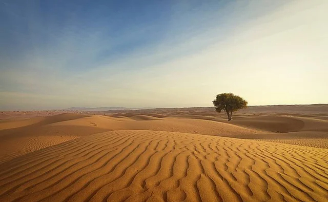 Có gì ở sa mạc đắt nhất Trung Quốc mà muốn đổi 1kg gạo lấy 1kg cát cũng không được? - Ảnh 1.