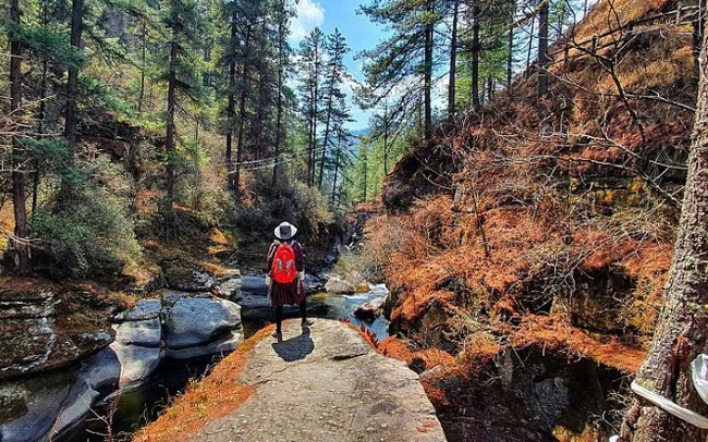 Bhutan - quốc gia duy nhất có hiến pháp riêng bảo vệ các khu rừng - Ảnh 1.