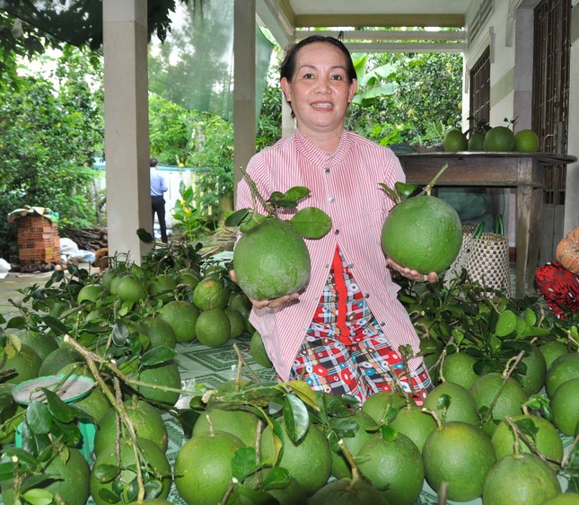 Nông sản Việt rộng đường xuất ngoại - Ảnh 2.