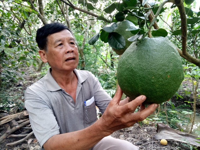 Nông sản Việt rộng đường xuất ngoại - Ảnh 1.