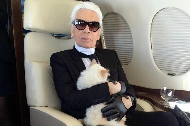 Choáng ngợp cuộc sống mèo tỷ phú của ông hoàng thời trang Karl Lagerfeld - Ảnh 2.