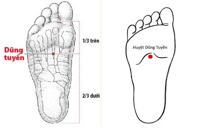 Ít ai biết dưới chân có 1 công tắc giấc ngủ, ấn vào mỗi ngày sẽ ngủ ngon cả đêm - Ảnh 3.