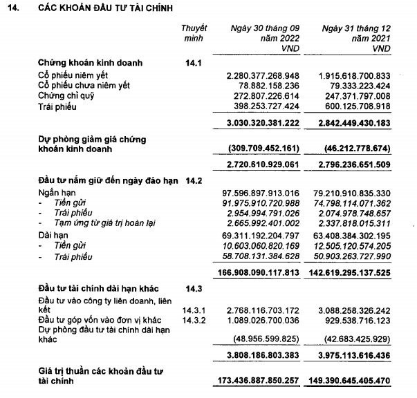  Một doanh nghiệp có gần 103.000 tỷ tiền gửi ngân hàng, nắm giữ hàng trăm tỷ đồng cổ phiếu VNM và CTG  - Ảnh 1.