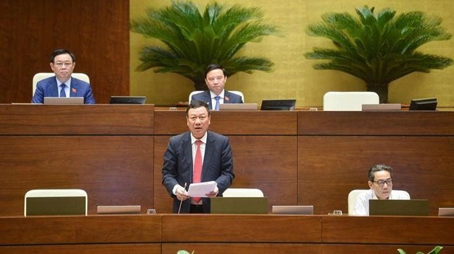 Quốc hội chất vấn Tổng Thanh tra Chính phủ Đoàn Hồng Phong - Ảnh 1.