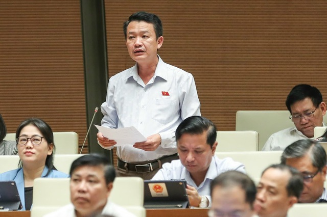 TRỰC TIẾP: Tổng Thanh tra Chính phủ Đoàn Hồng Phong trả lời chất vấn Quốc hội - Ảnh 3.