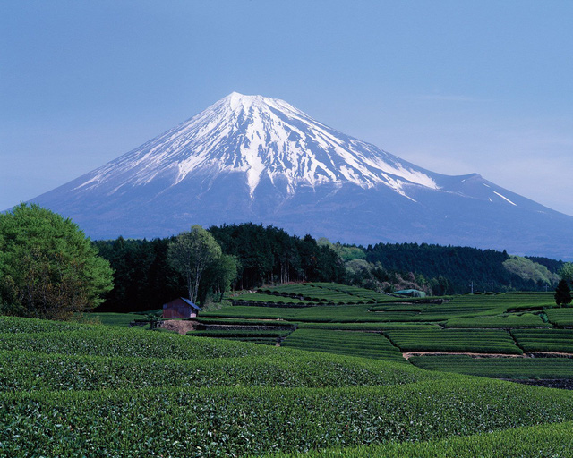 Công dụng của đất nham thạch trong nông nghiệp Nhật Bản - Ảnh 1.