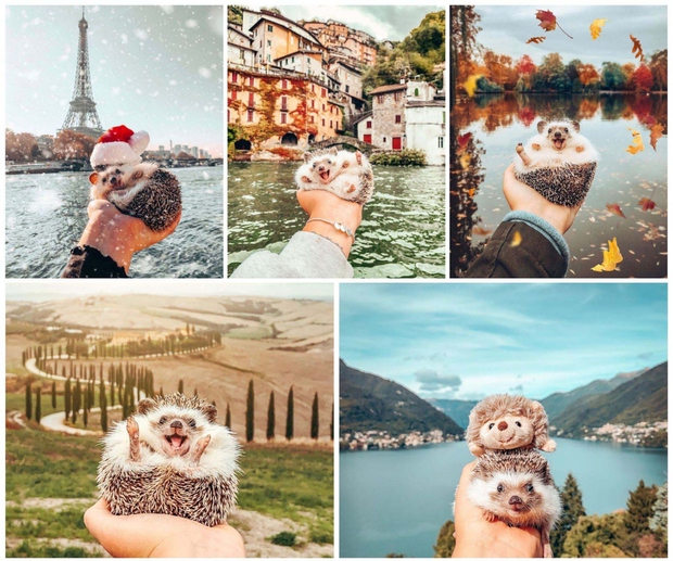 Những tài khoản Instagram du lịch truyền cảm hứng nhất - Ảnh 5.