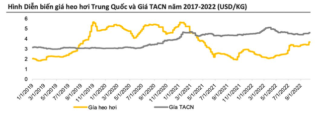 Nhóm cổ phiếu nào hưởng lợi khi Trung Quốc rục rịch tái mở cửa nền kinh tế? - Ảnh 3.