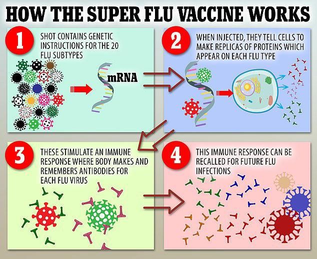 Tạo siêu vắc-xin ngừa hơn 20 loại cúm - Ảnh 1.