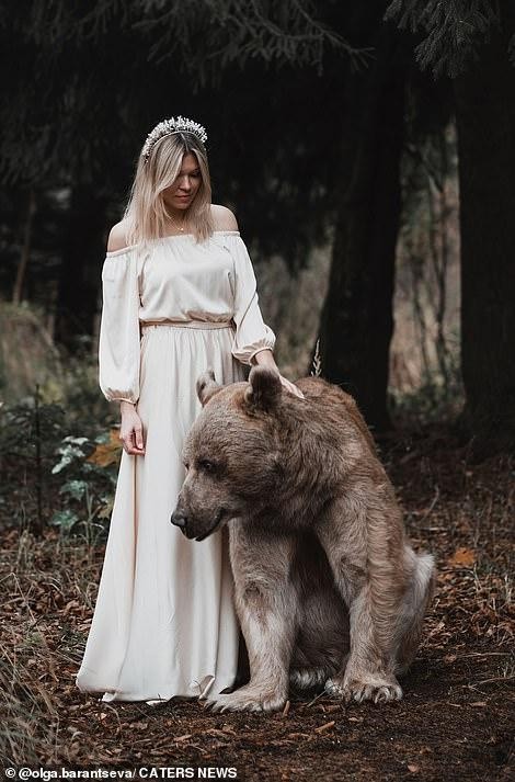 Lý do người mẫu vẫn an toàn khi chụp bộ ảnh thân mật với chú gấu nặng 350kg - Ảnh 6.