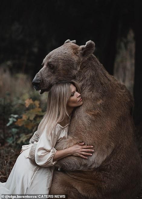 Lý do người mẫu vẫn an toàn khi chụp bộ ảnh thân mật với chú gấu nặng 350kg - Ảnh 3.