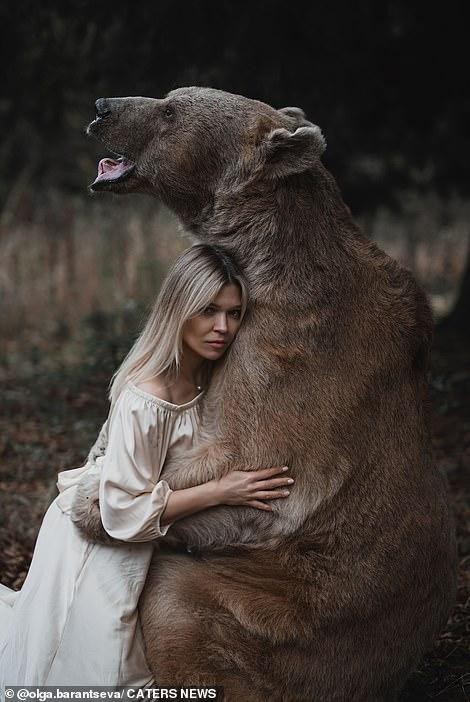 Lý do người mẫu vẫn an toàn khi chụp bộ ảnh thân mật với chú gấu nặng 350kg - Ảnh 2.