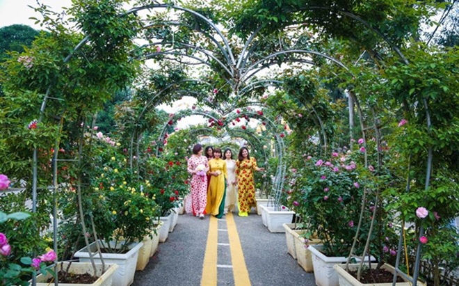 Gần 100.000 lượt người dự lễ hội hoa Mê Linh 2022 - Ảnh 5. Gần 100.000 lượt người dự lễ hội hoa Mê Linh 2022 - Ảnh 5.