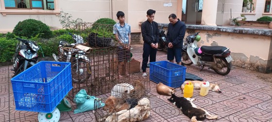 Bắt giữ nhóm trộm chó liên tỉnh, 2 tháng bắt 3 tấn chó - Ảnh 1.