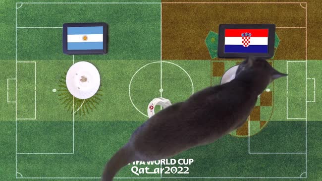 3 thú tiên tri dự đoán kết quả các trận bán kết World Cup thế nào? - Ảnh 1.