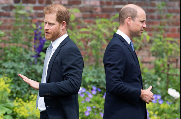 Hoàng tử Harry kể chi tiết nguyên nhân rạn nứt tình anh em với Hoàng tử William - Ảnh 1.