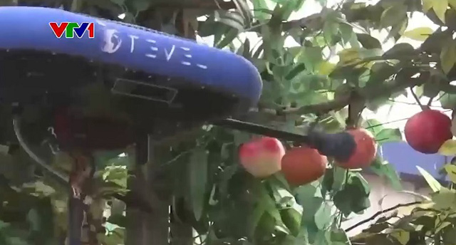 Robot giúp thu hoạch hoa quả thay sức người - Ảnh 1.