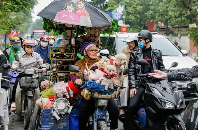  Câu chuyện đáng yêu mùa Noel này: Bà lão 71 tuổi và chiếc xe chở 13 chú cún khắp đường phố Hà Nội  - Ảnh 5.
