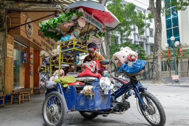  Câu chuyện đáng yêu mùa Noel này: Bà lão 71 tuổi và chiếc xe chở 13 chú cún khắp đường phố Hà Nội  - Ảnh 4.