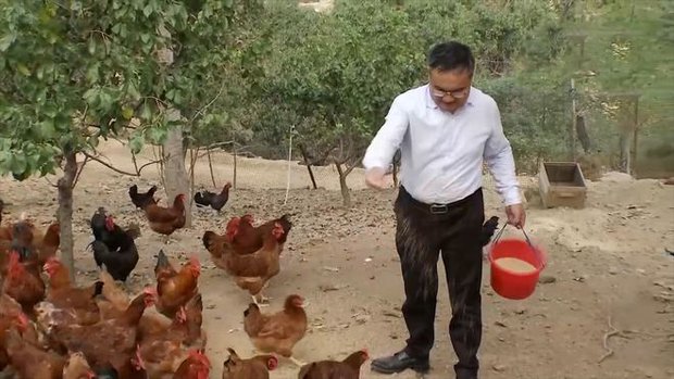 Giám đốc từ chức về quê nuôi giống gà không ai mua nhưng lại kiếm hàng trăm tỷ đồng mỗi năm theo cách không tưởng - Ảnh 5.